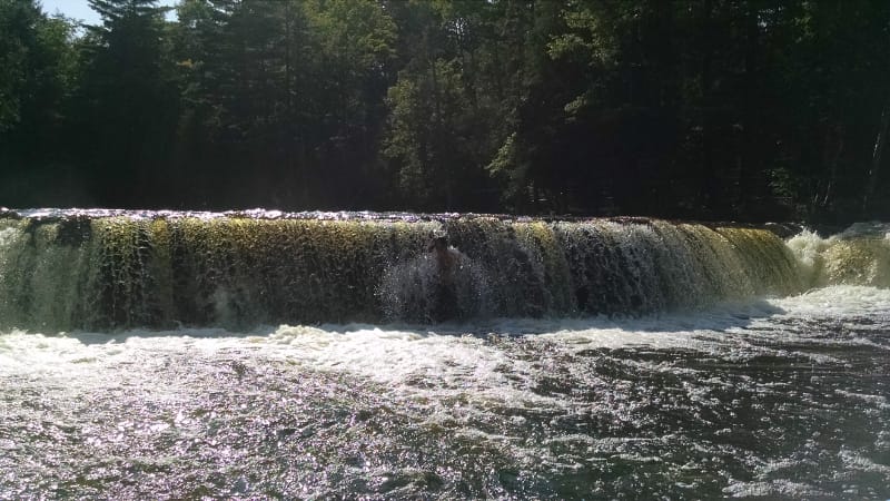 Going in the falls