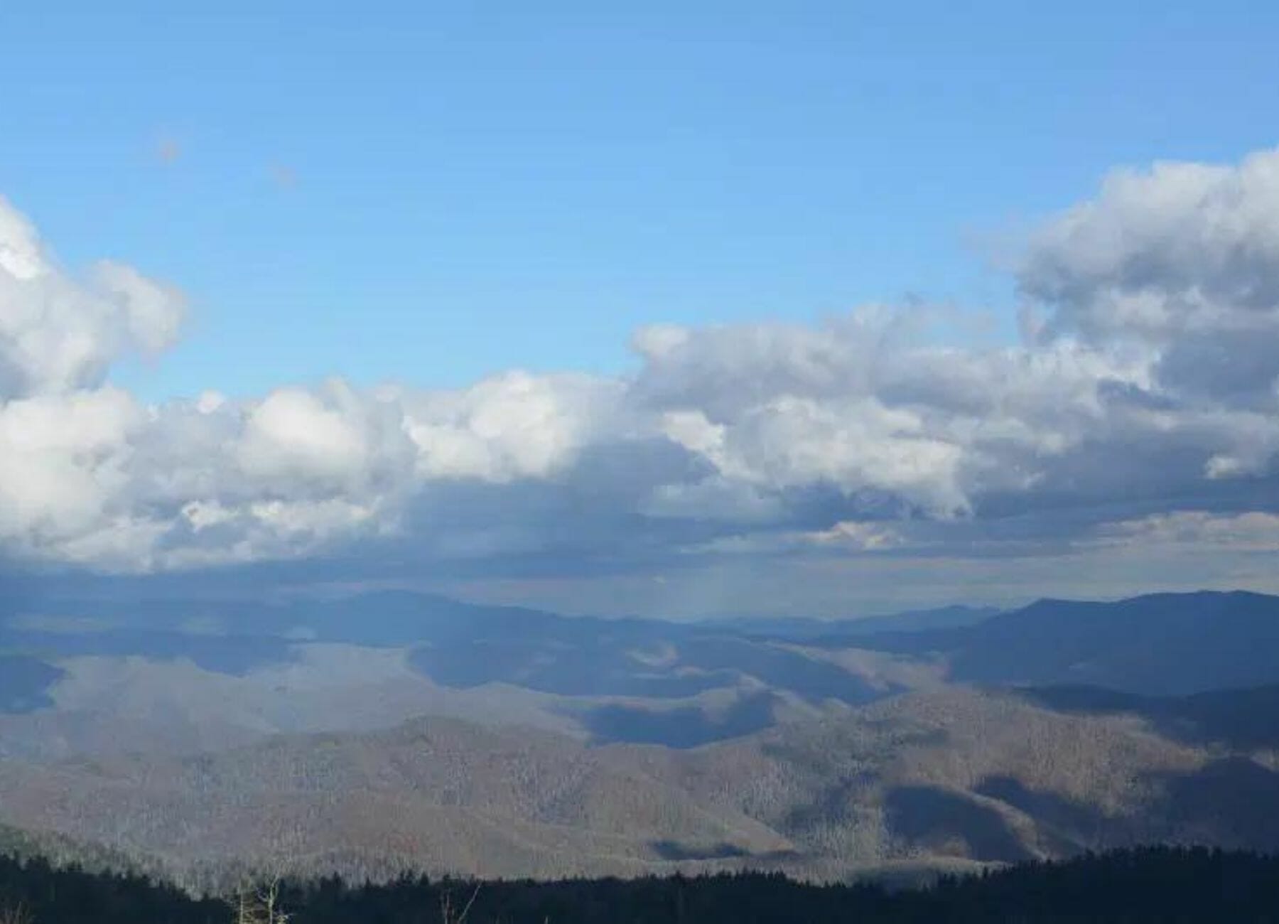 Clingman's Dome, family fun in Gatlinburg