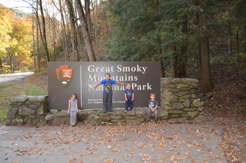 GSMNP