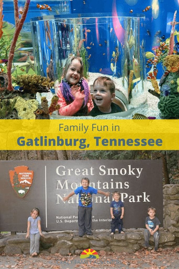 From hiking in the Smokey Mountains to exploring the streets of Gatlinburg there is tons of family fun in Gatlinburg, TN with kids.