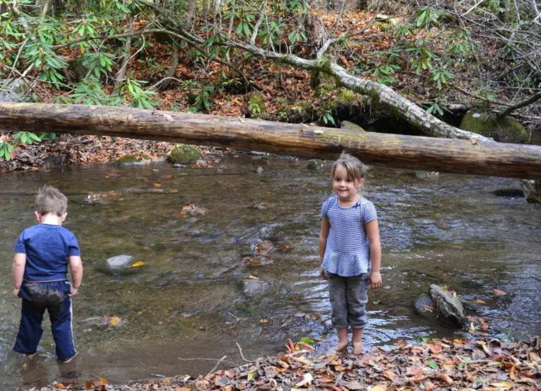 Standing in front of the stream