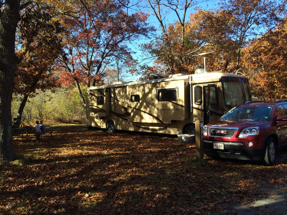 Our site at Illinois Beach Park. Lot's of leaves! 