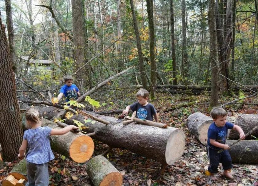 Kids playing by cut trees, Family fun in Gatlinburg