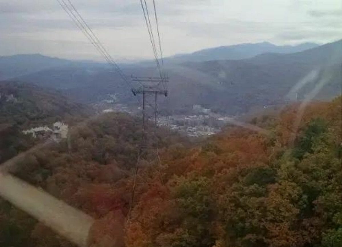 View from the tram, Family fun in Gatlinburg