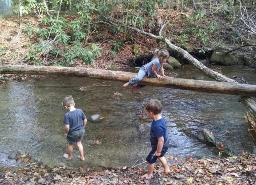 Climbing on the tree above a stream, family fun in Gatlinburg