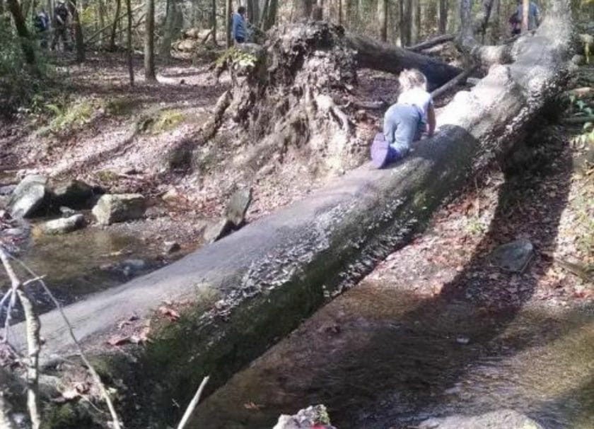 Climbing on a tree bridge family fun in Gatlinburg