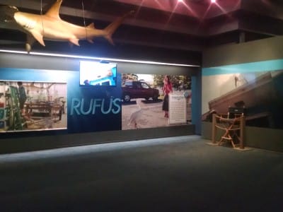 IMG_20150206_134050945