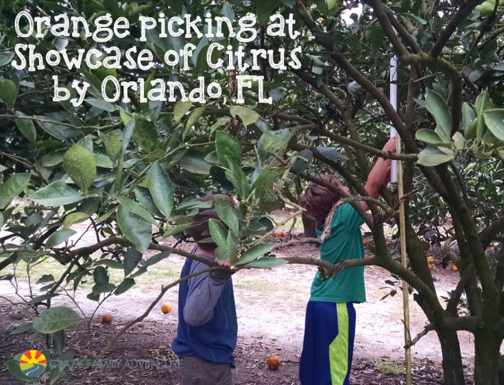 OrangePickingPin