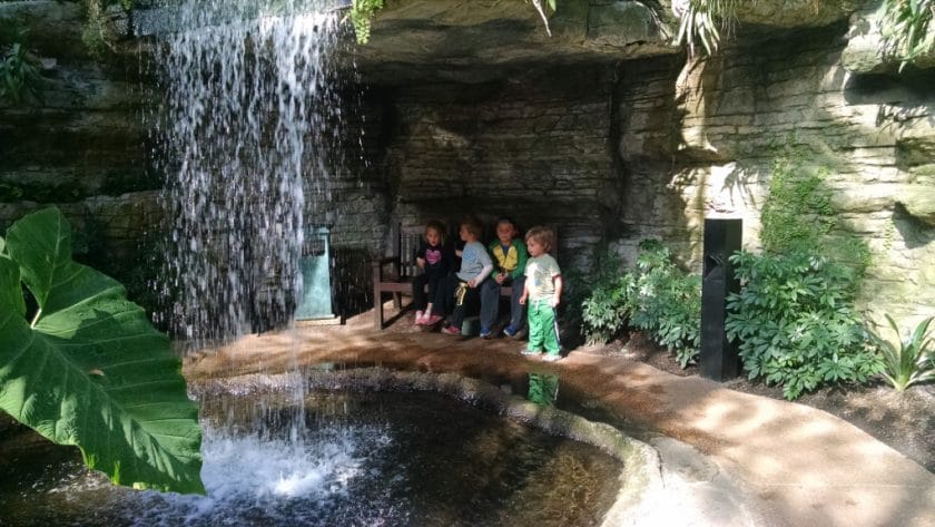 Waterfall in the Opry Hotel!