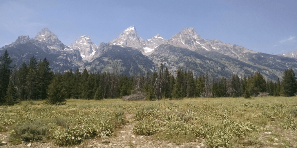 5 Family Friendly Things to do by the Grand Tetons