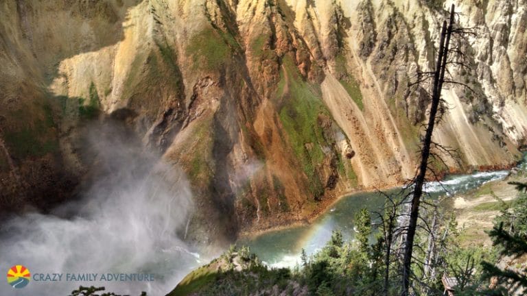 Grand Canyon Of Yellowstone: 6 Best Things To Do!