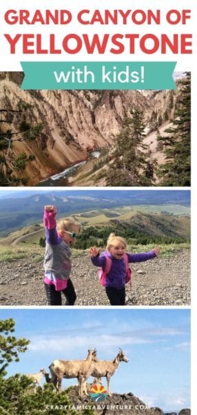 There are so many beautiful things to see in the Grand Canyon of Yellowstone! You don't want to miss Artist Point, South Rim Trail, North Rim Drive and Inspiration Point. Come check out all the things we recommend you do with kids when you visit the Grand Canyon of Yellowstone National Park on your Yellowstone Vacation.