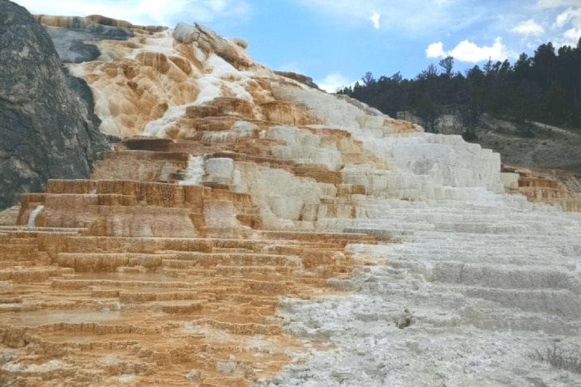 visit mammoth hot springs