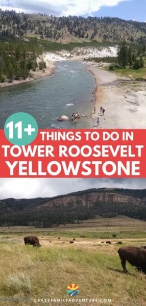 When you visit Yellowstone National Park on your vacation you will not want to miss the Tower Roosevelt area! It is a great place for photography and some of the best hikes in Yellowstone are in this area. If you are road tripping to Yellowstone with kids or without you will love this part of the park!