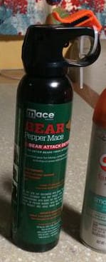 #1 thing to bring to Yellowstone - Bear Spray
