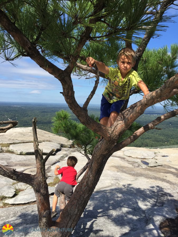 tree-climb