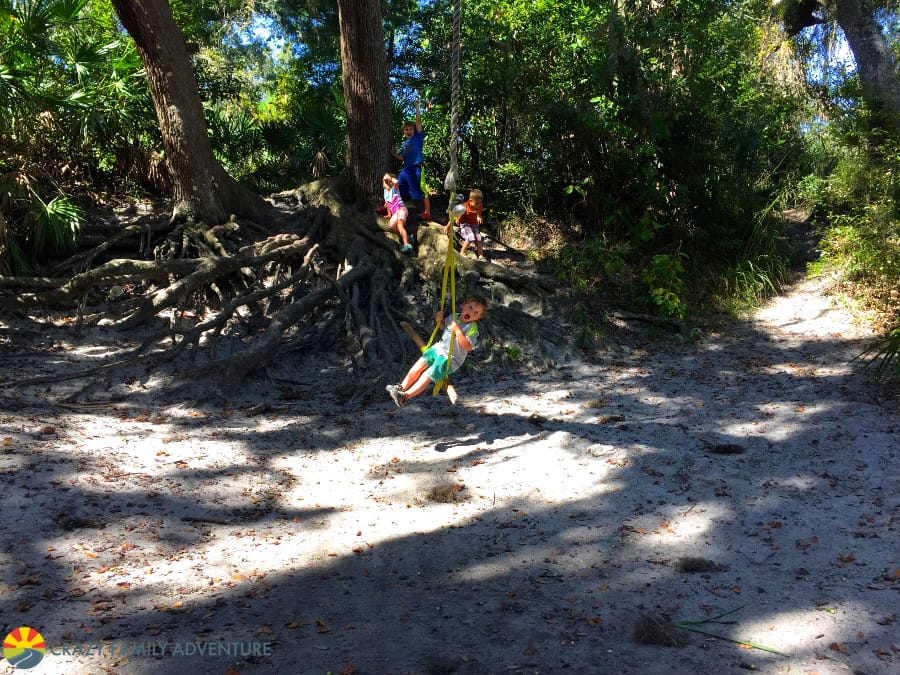 rope-swing