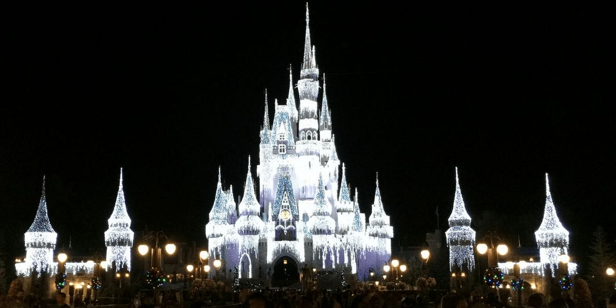 Visit Magic Kingdom 