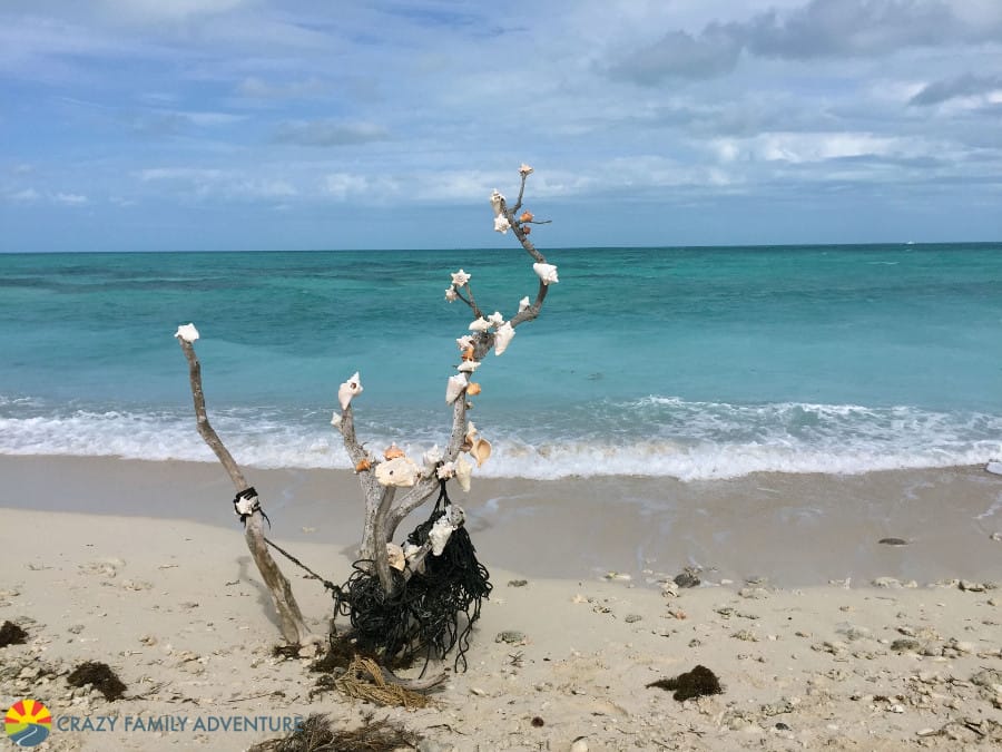 dry-tortugas-2