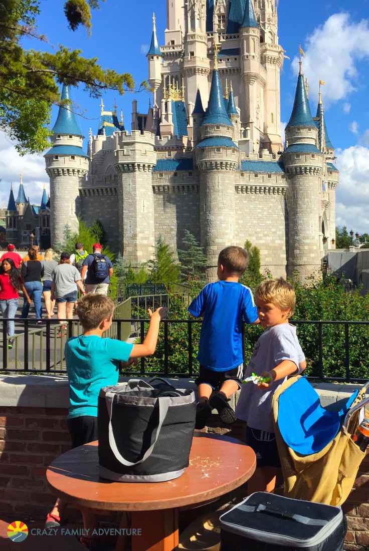 Magic Kingdom In One Day - 11 Tips On How To Do It!