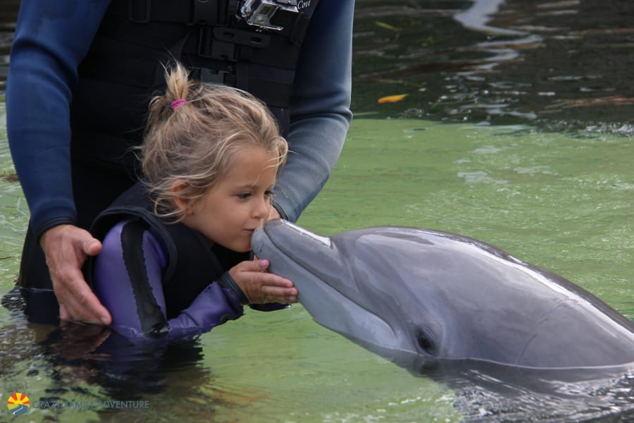 Kissing a dolphin in Key Largo!