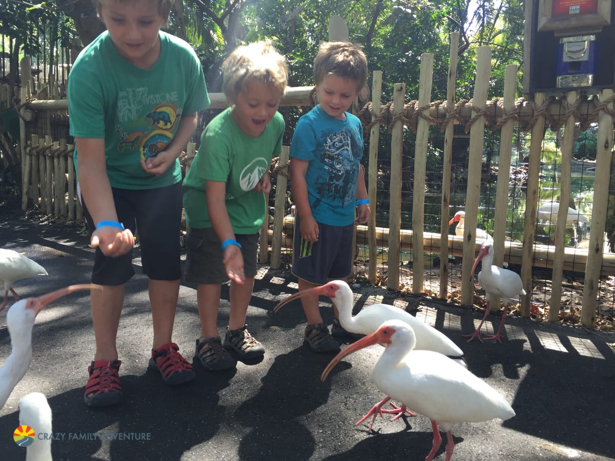 FeedingStations at Palm Beach Zoo