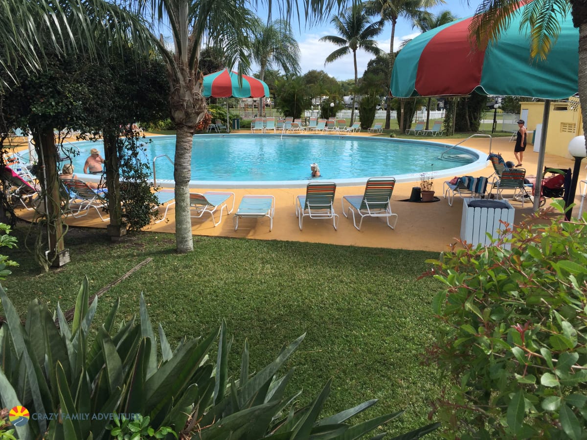 Miami Everglades RV Resort Pool