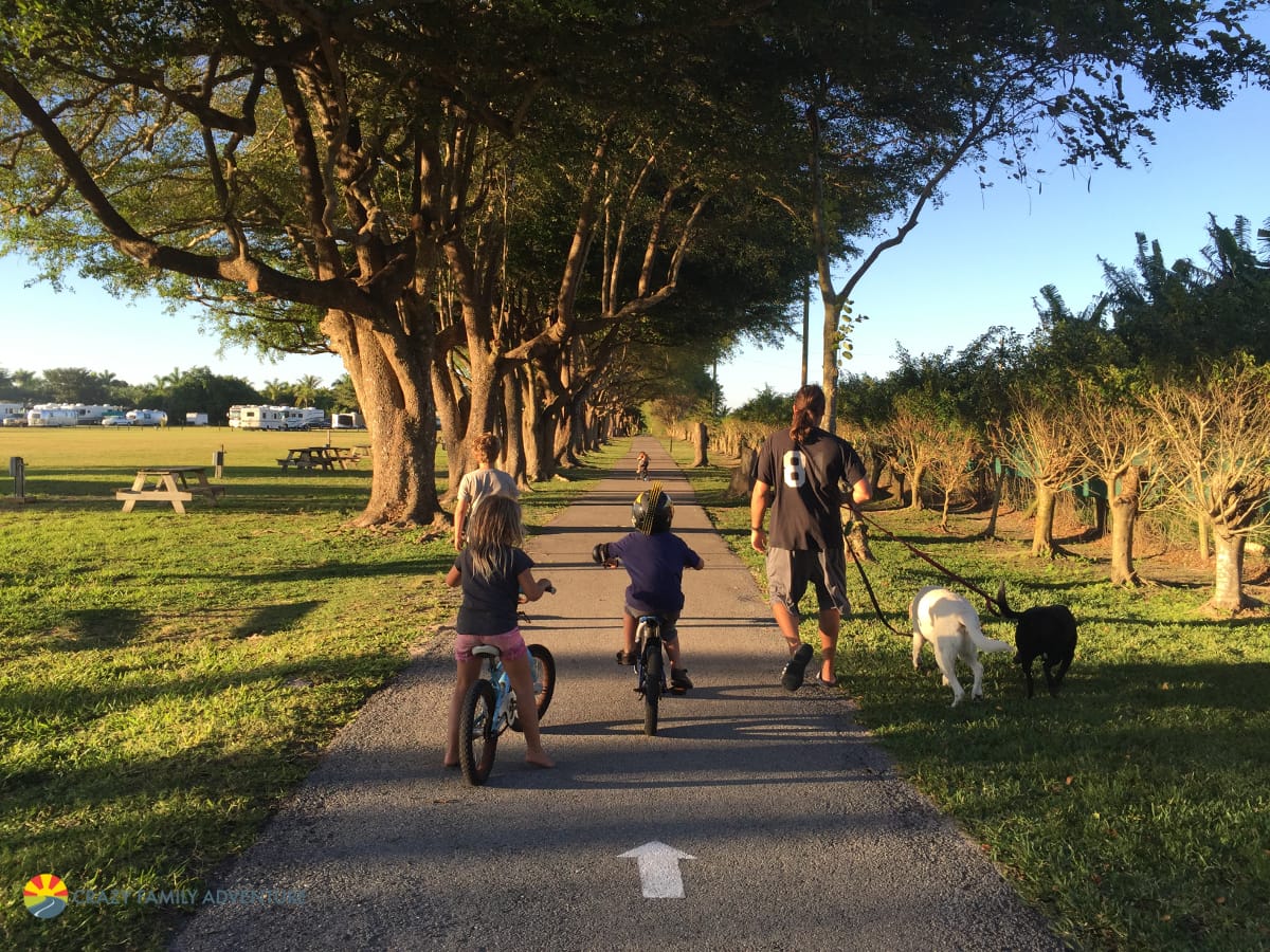 Miami Everglades RV Resort Walking Path