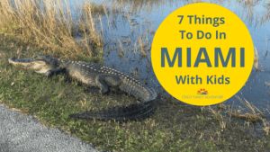 7 Awesome Things To Do In Miami With Kids