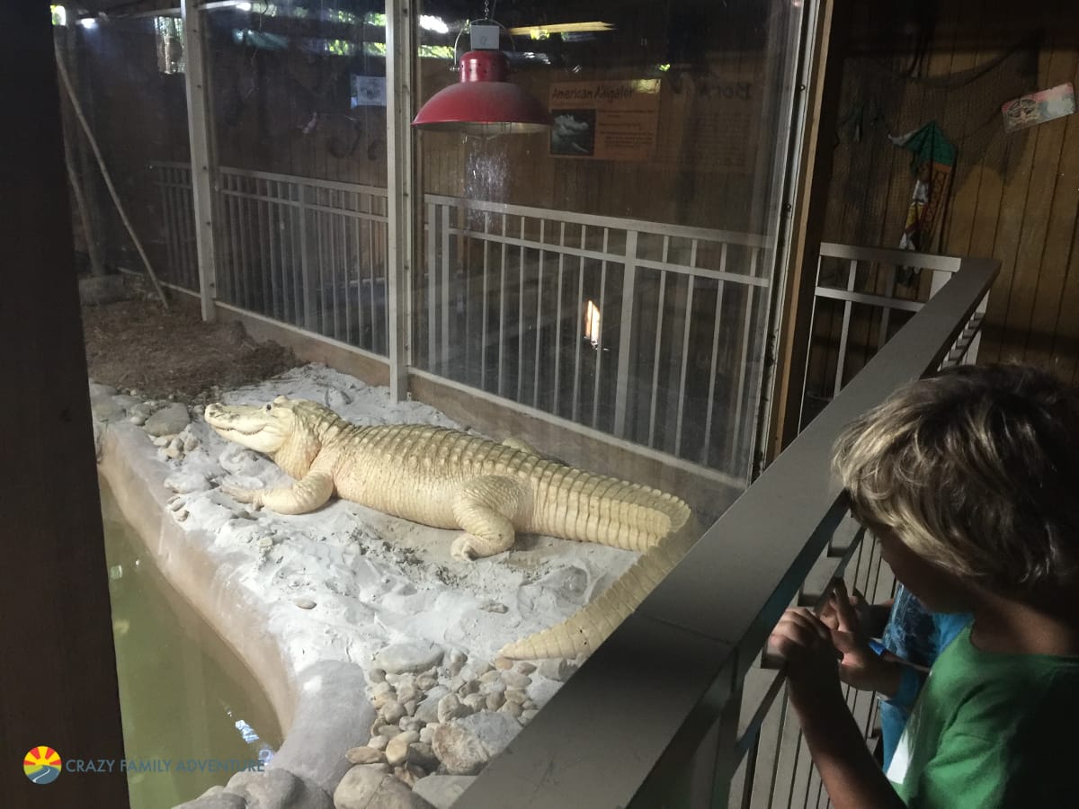 Palm Beach Zoo A Great Family Time!