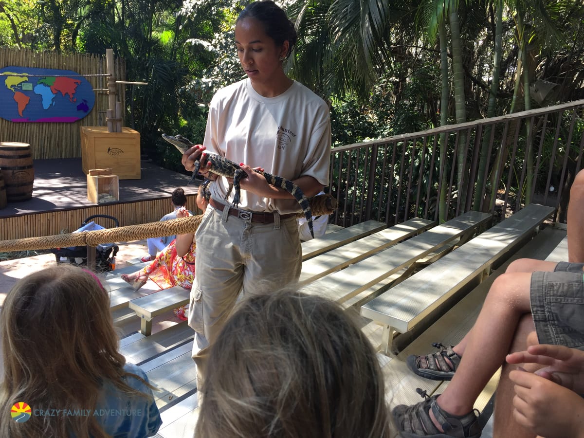 Palm Beach Zoo Shows