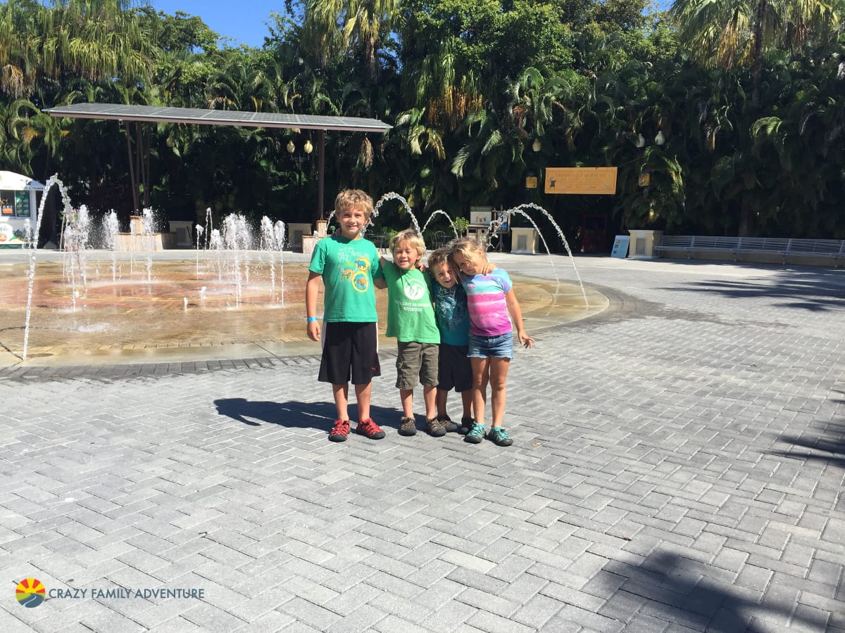 Palm Beach Zoo Splash Pad