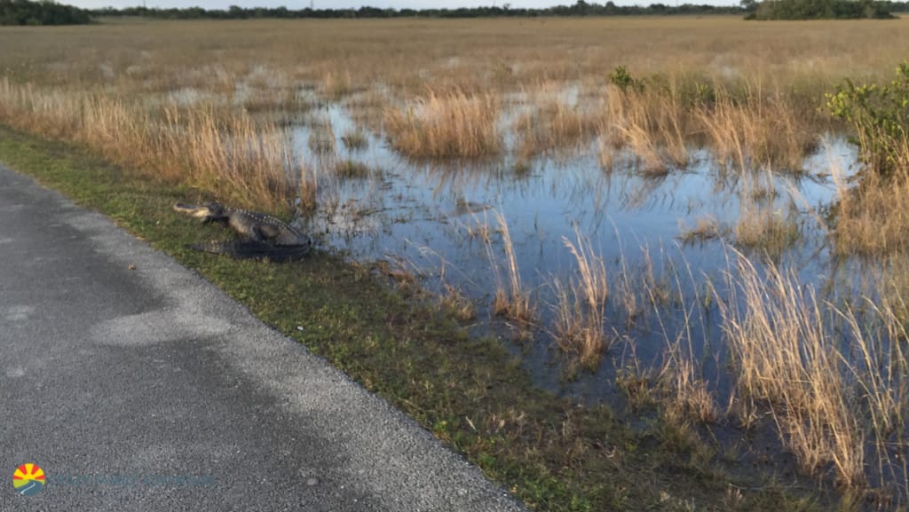 Everglades National Park