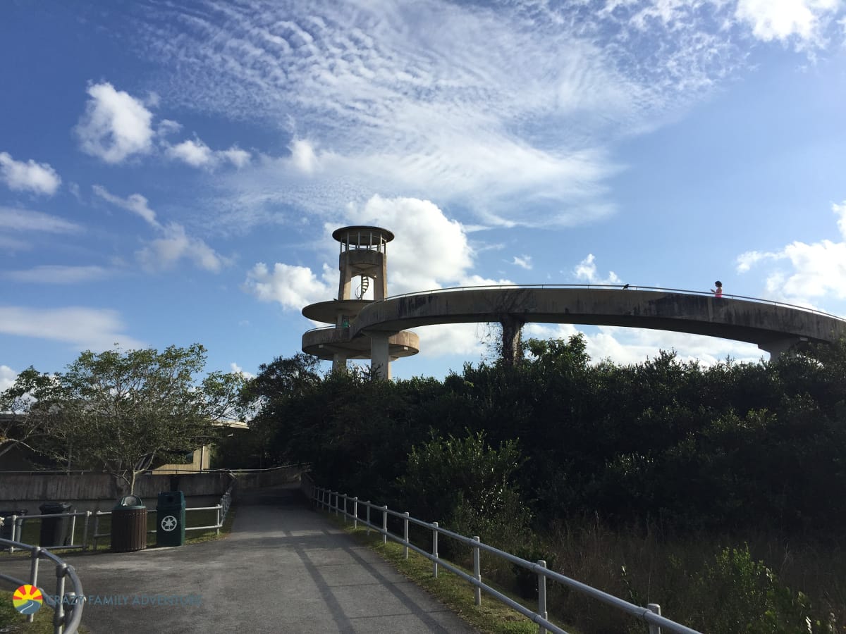 Shark Valley Observation Tower