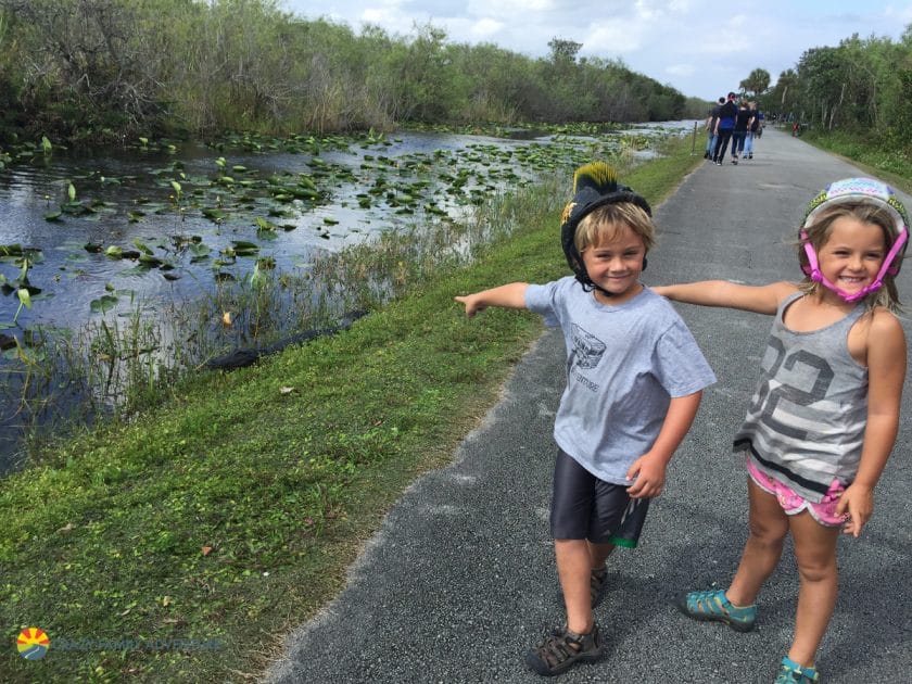 Shark Valley - Things To Do In Miami With Kids