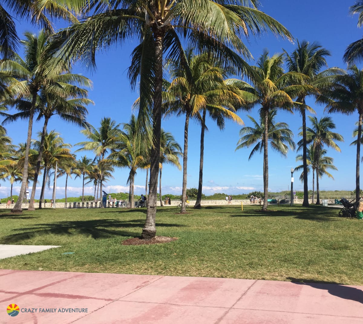 South Beach Miami - Things To Do In Miami With Kids