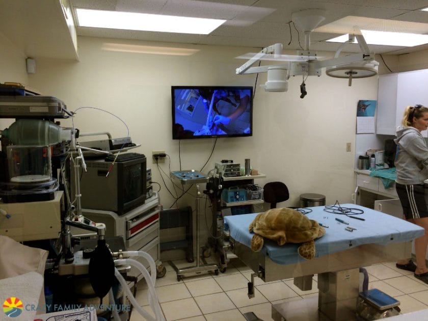 operating-room