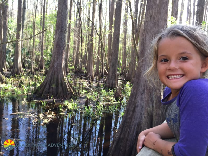 Highland Hammock Cypress Swamp Trail