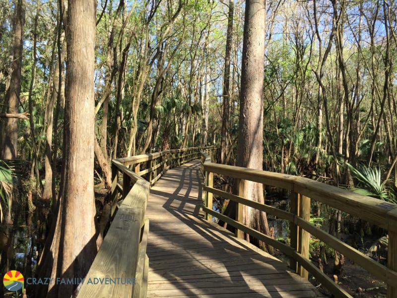 Highland Hammock Trails