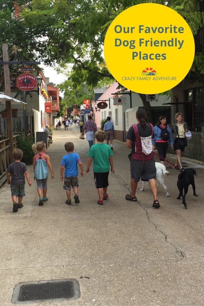 Our Favorite Dog Friendly Places Pinterest