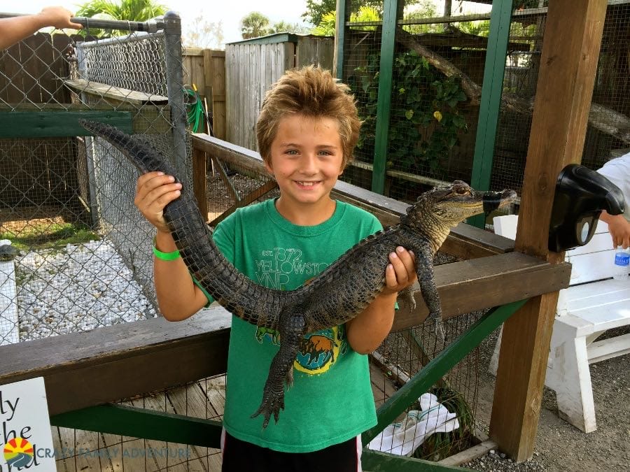 Carson holding a baby gator