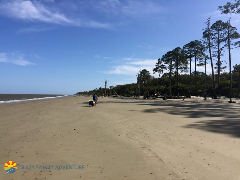 Things to do on Jekyll Island with kids