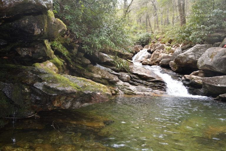 Hiking In Asheville With Kids