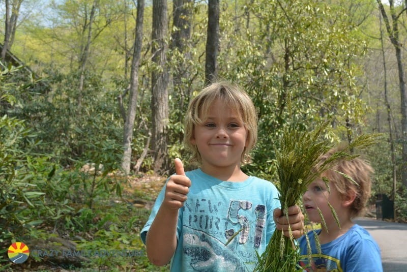 Learning how to forage for food is a unique thing to do in Asheville with kids