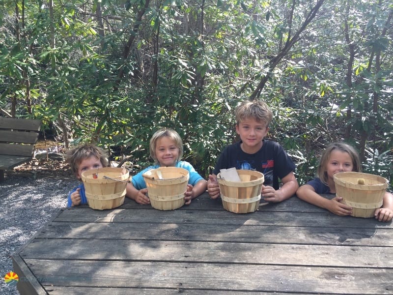 Foraging for food was one of the most unique kids activities in Asheville