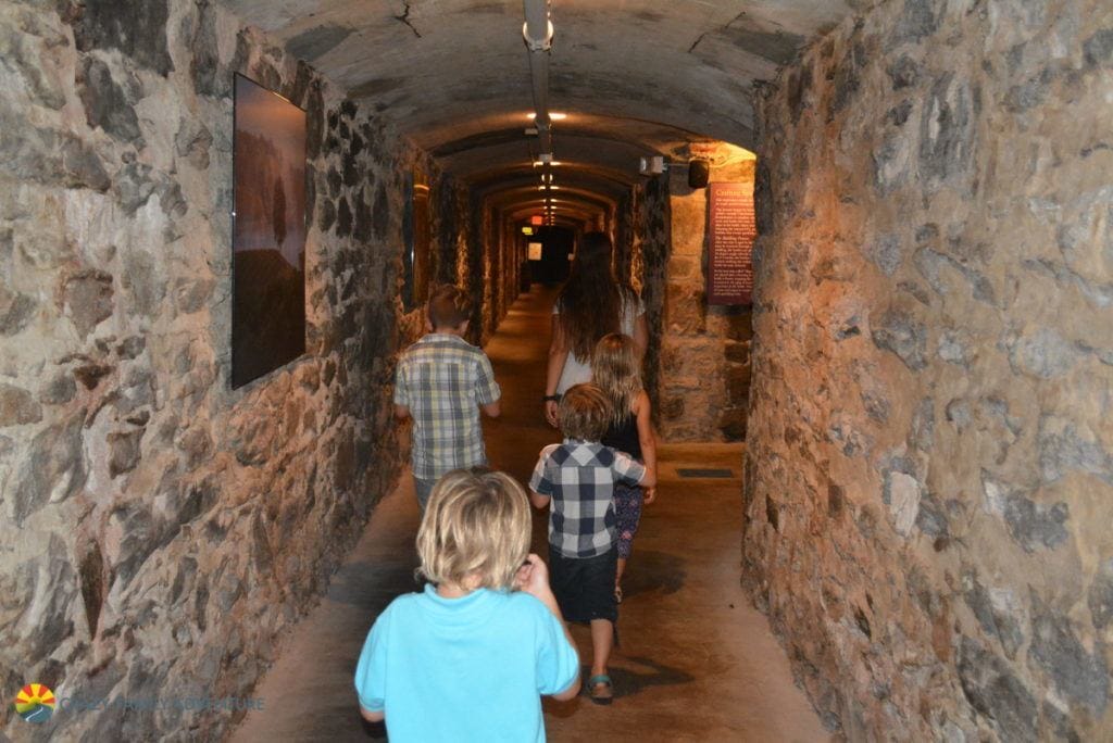 Walking through the wine cellar at the Biltmore Estate