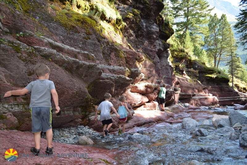 Creek walk in Waterton Lakes National Park in Alberta, Canada