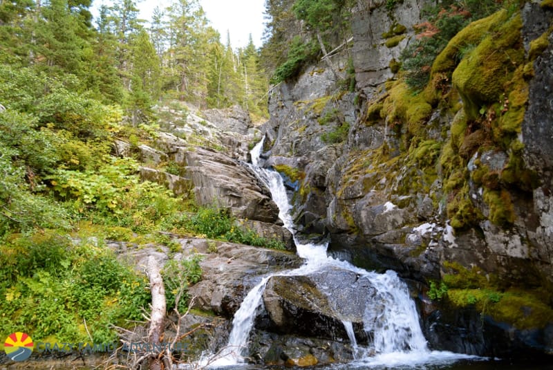 Aster Falls is #8 on our list of best hikes in Glacier National Park with kids