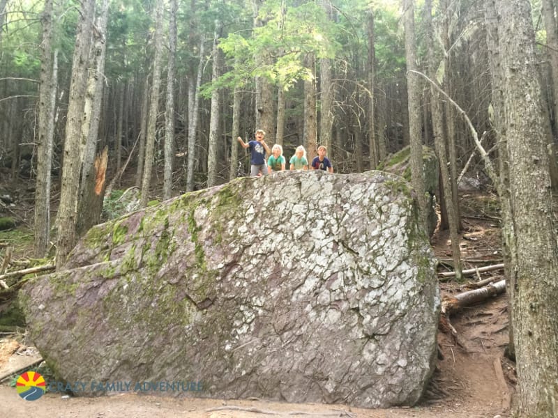 Enjoying the scenery while hiking to Avalanche Lake in Glacier National Park