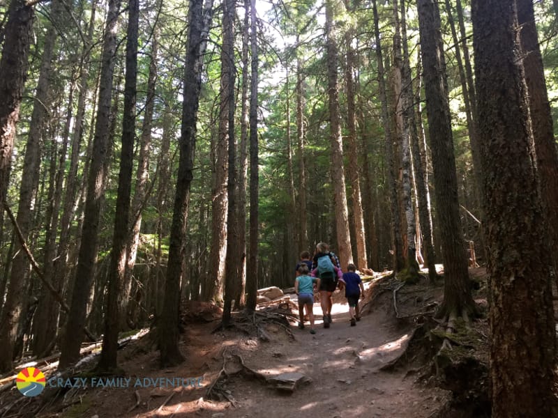 Hiking to Avalanche Lake in Glacier National Park